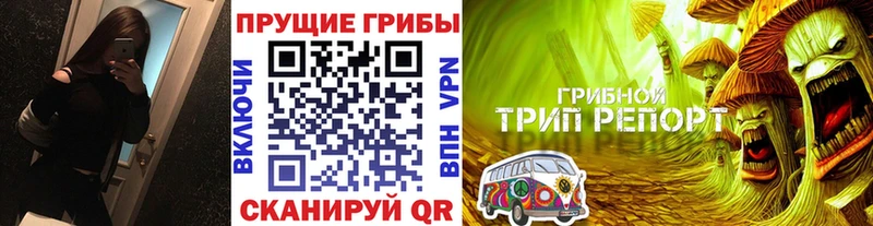 Галлюциногенные грибы GOLDEN TEACHER  Купить где  Завитинск 